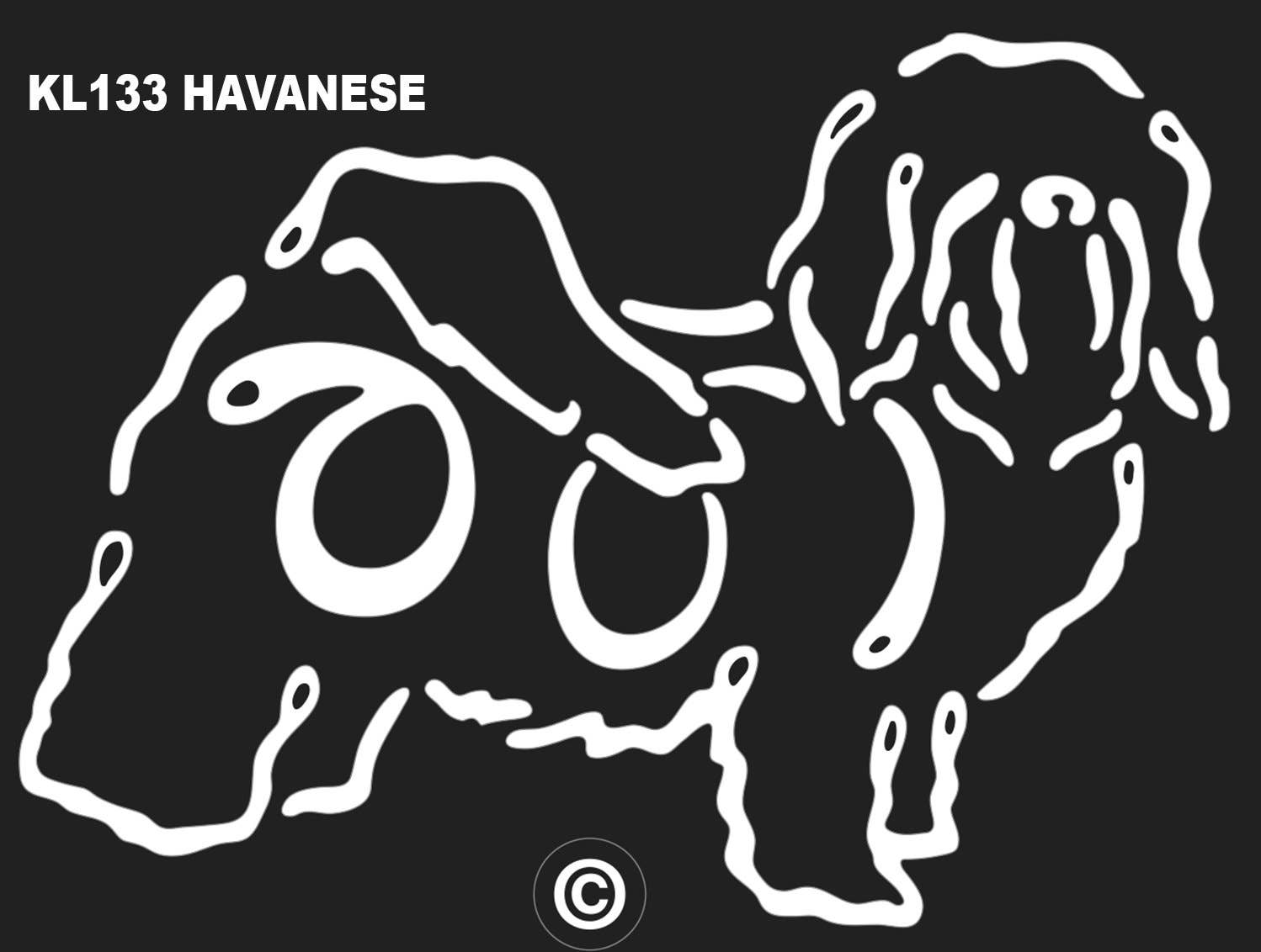 Havanese K-line Window Tattoo