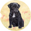 Pug, Black Car Coaster