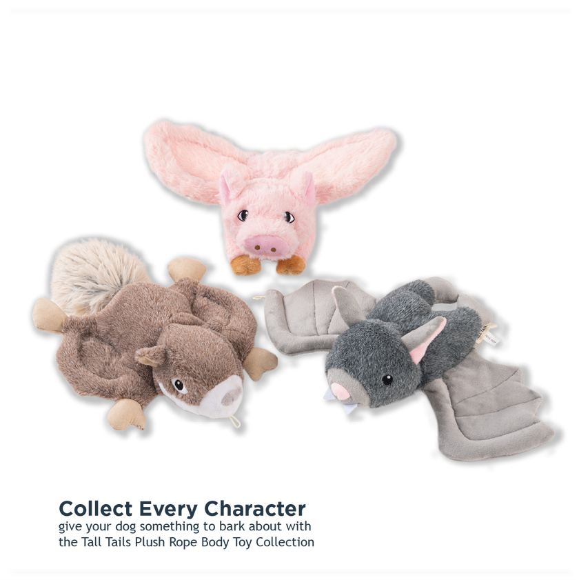 Dog Toy Squirrel Fling and Fetch Plush Toy