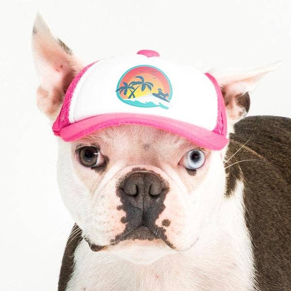 Surfer Trucker Hat for Dogs