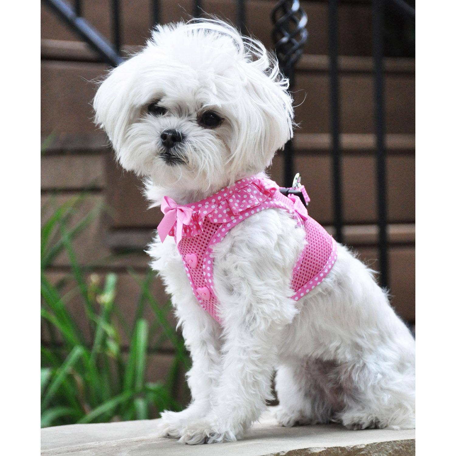 American River Polka Dot Dog Harness - Pink