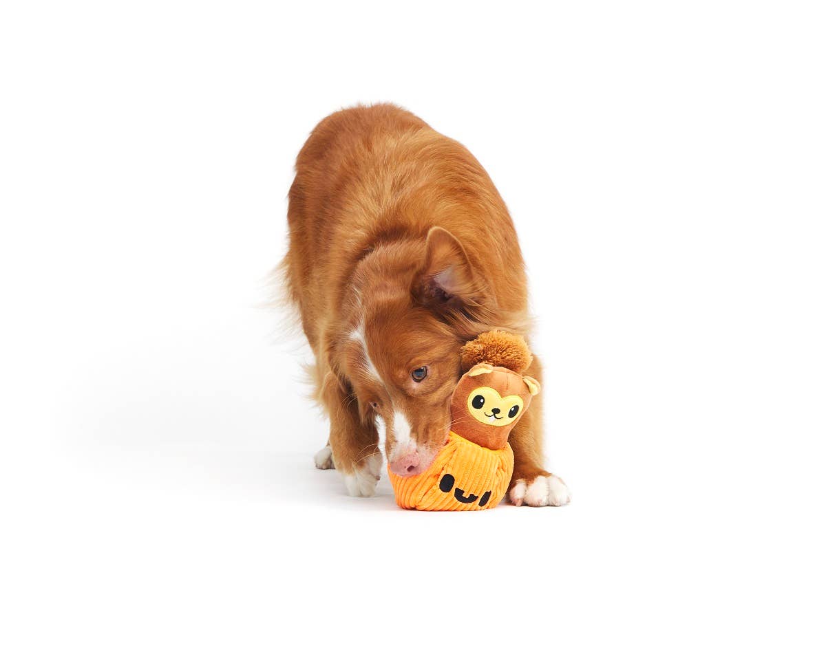 BARK Squirrel O' Lantern Plush Dog Toy Small