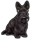 Scottish Terrier  - Vinyl Sticker