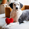 Valentine's Plush Red Heart Valentine's Day Dog Toy