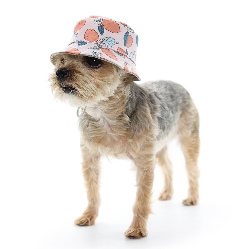 Bucket Pet Hat Lemon Pink