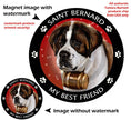 Saint Bernard My Best Friend Circular Magnet