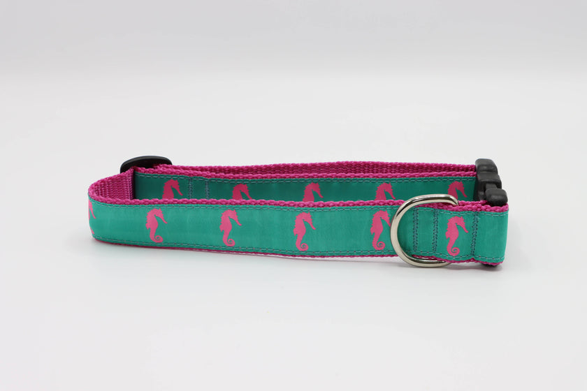 Turquoise Seahorse Side Release Buckle Clip Dog Collar