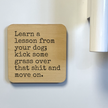 LEARN A LESSON FROM YOUR DOG Magnet/Drink Coaster