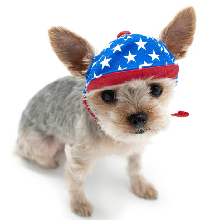 Patriotic American USA Star Pet Hat