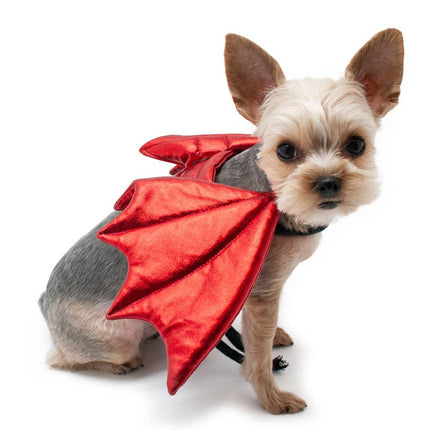 Dog or Cat Dragon Wings Costume