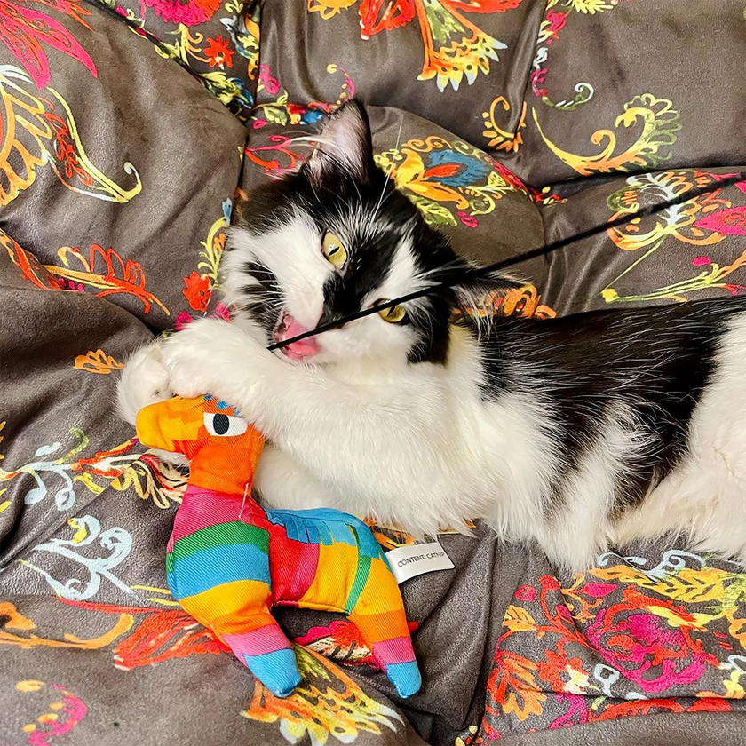 Meowijuana® Get Smashed Llama Piñata Refillable Wand Cat Toy