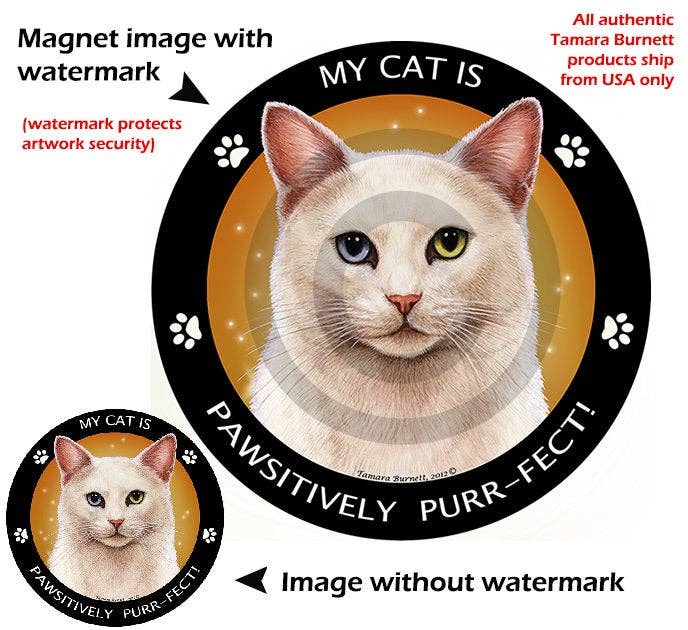 White Cat Odd Eye My Best Friend Circular Magnet