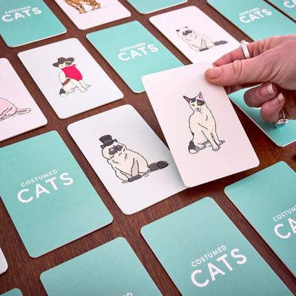 Costume Cats Memory Game