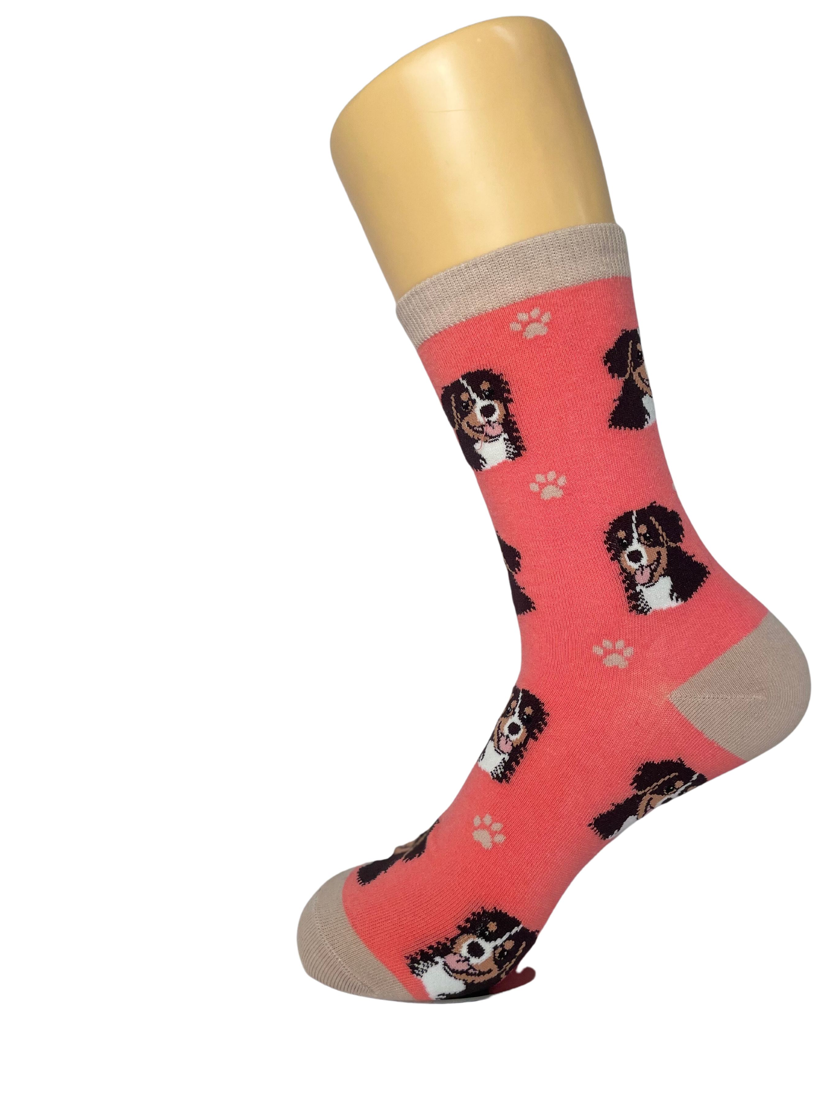 Bernese Mt. Dog  Socks Unisex