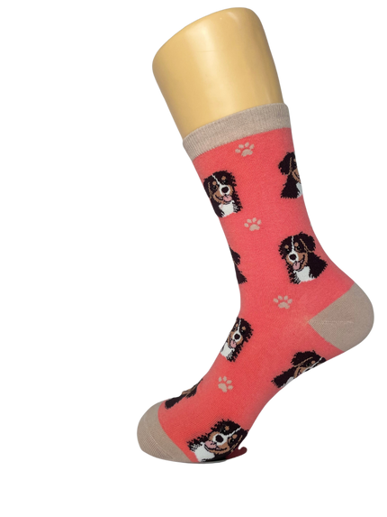 Bernese Mt. Dog  Socks Unisex