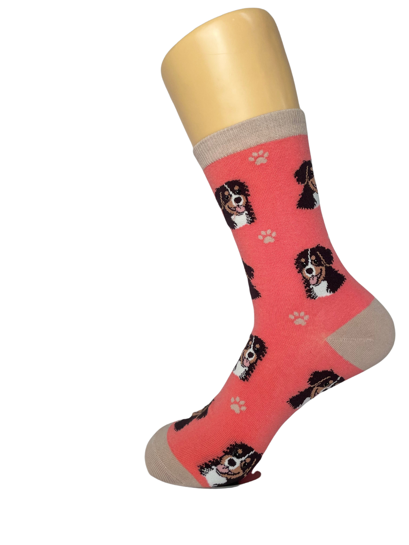 Bernese Mt. Dog  Socks Unisex