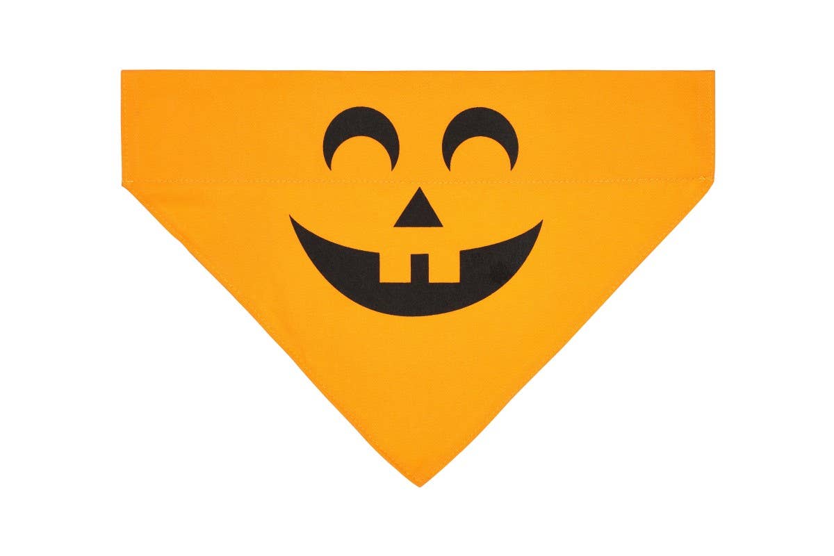 Pearhead Pumpkin Bandana Orange M/L
