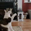 Meowijuana® Get Buzzed Bee Refillable Wand Cat Toy