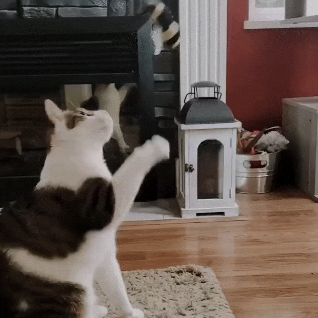 Meowijuana® Get Buzzed Bee Refillable Wand Cat Toy