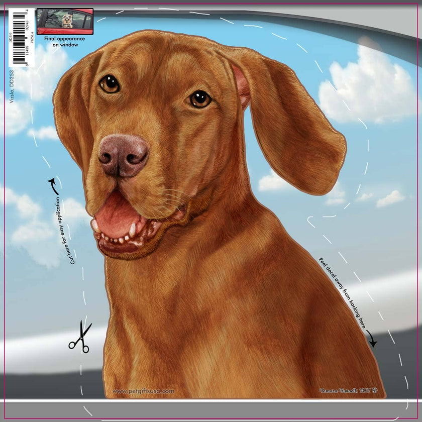Vizsla - Window Car Decal