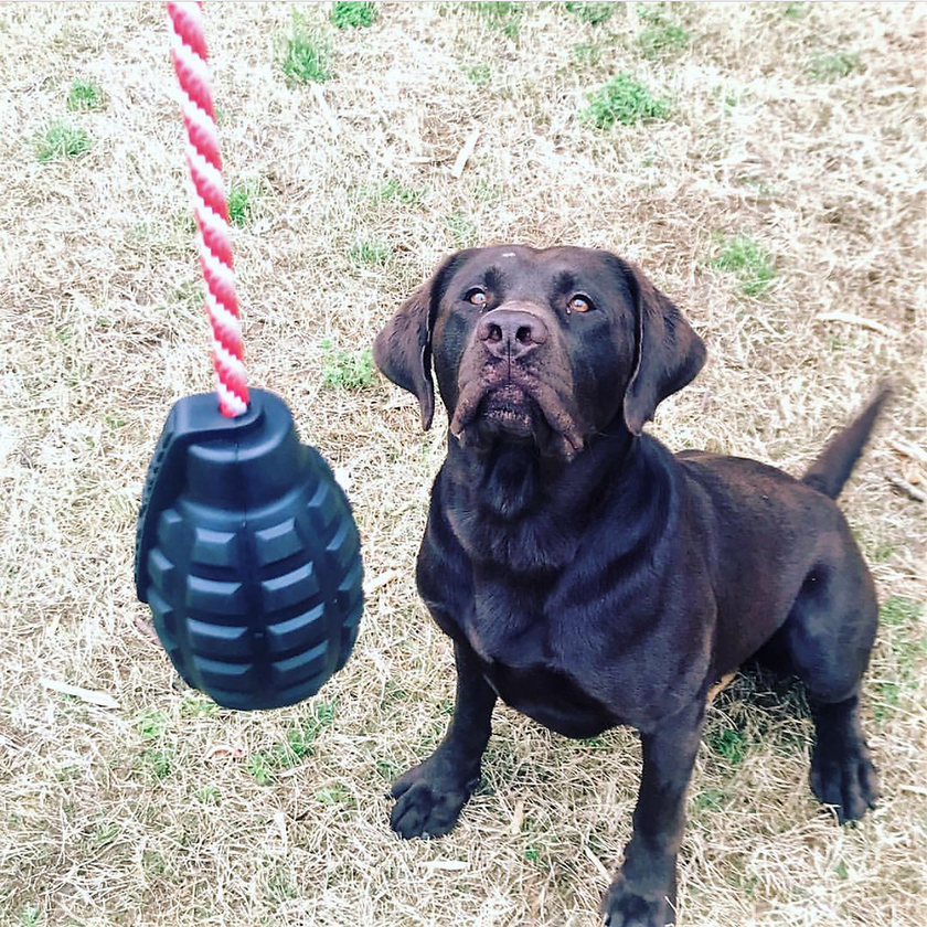Dog Toy SP USA-K9 Magnum Grenade Dog Chew Toy Black