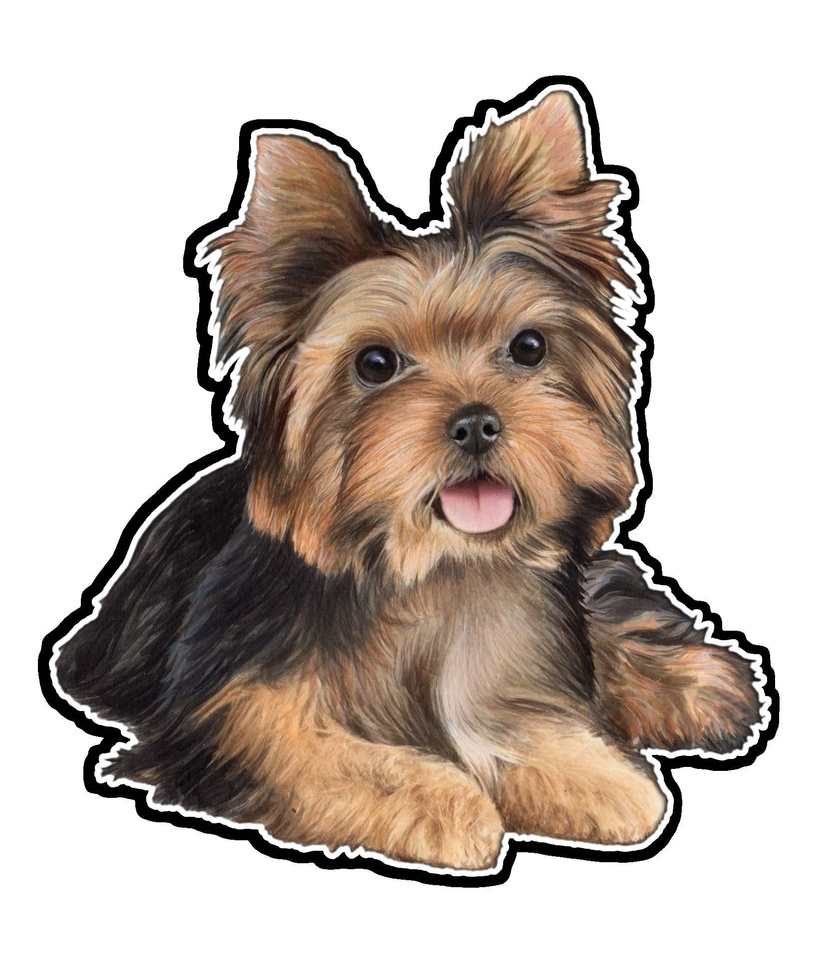 Yorkie, Puppy Cut - Vinyl Sticker – Salty Paws