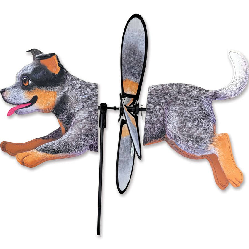 Australian Cattle Dog Petite Spinner