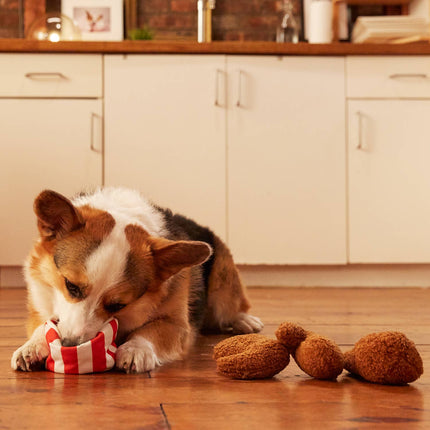 BARK Bucket O' Fried Licken Chicken Plush Food Dog Toy