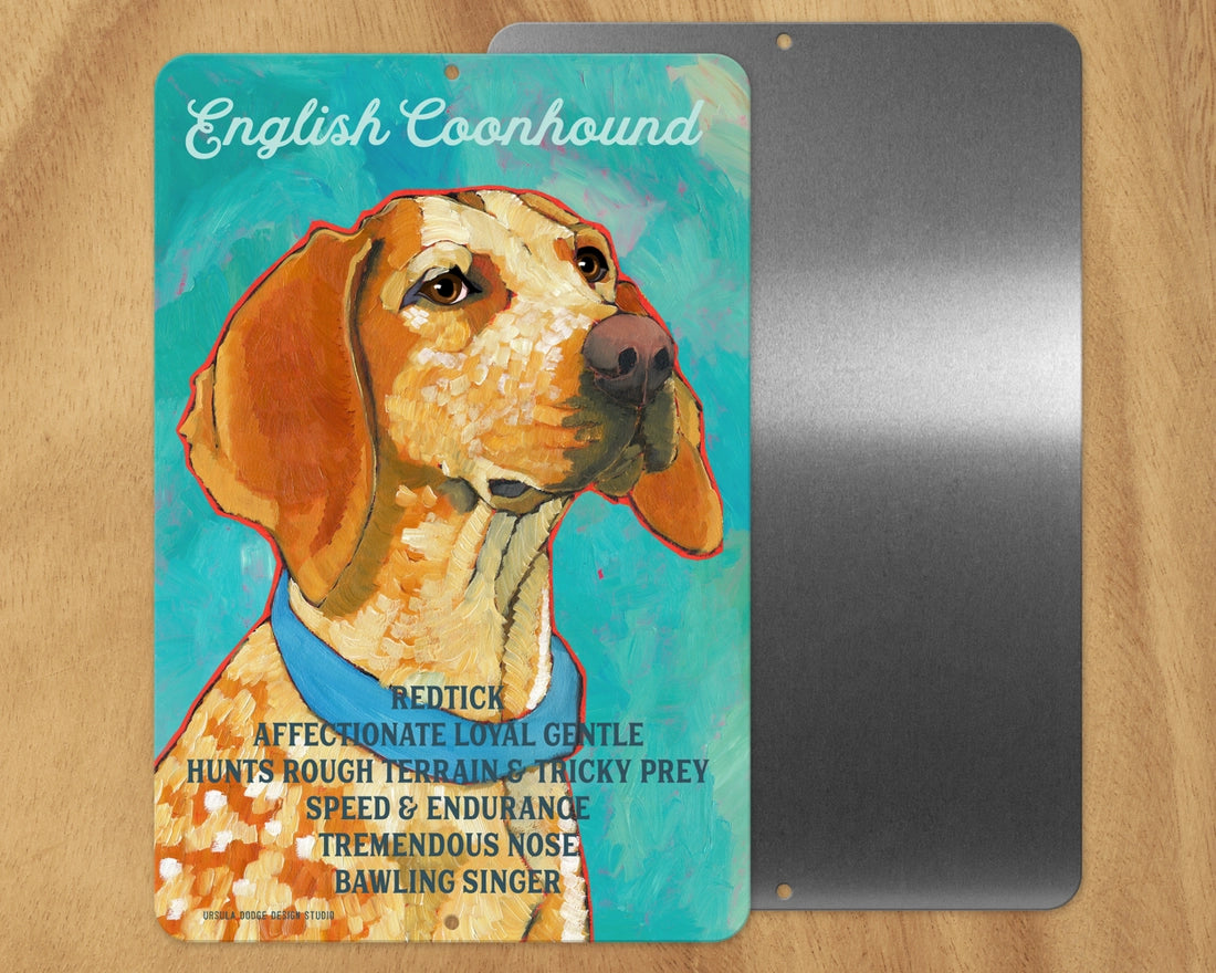 English Coonhound -UD Metal Sign