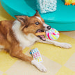 BARK Lolly Palooza Plush Dog Toy