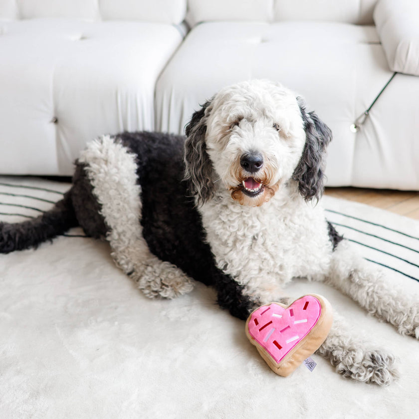 Valentine's Pink Heart Sugar Cookie Dog Toy