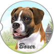 Boxer, Uncropped Car Coaster