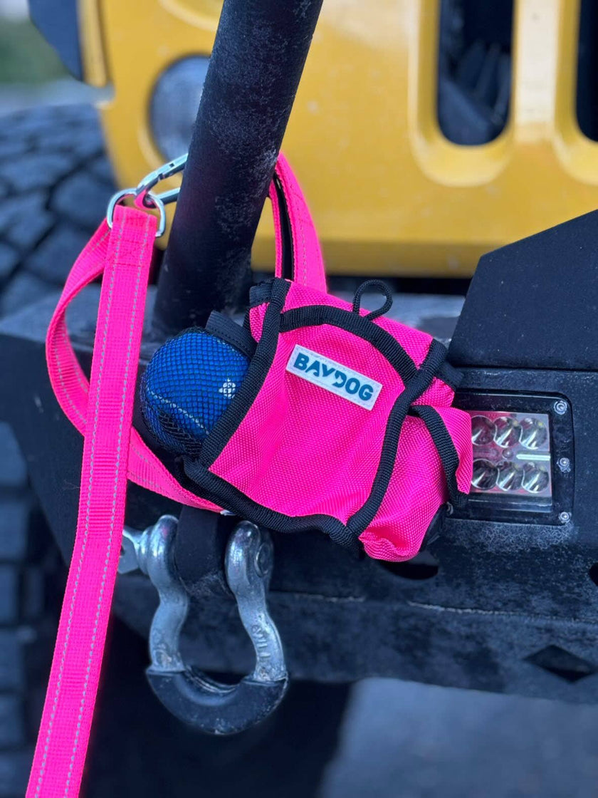 Pack-N-Go Bag
