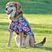 Pet Clothing Hawaiian Camp Shirt Paradise Nights