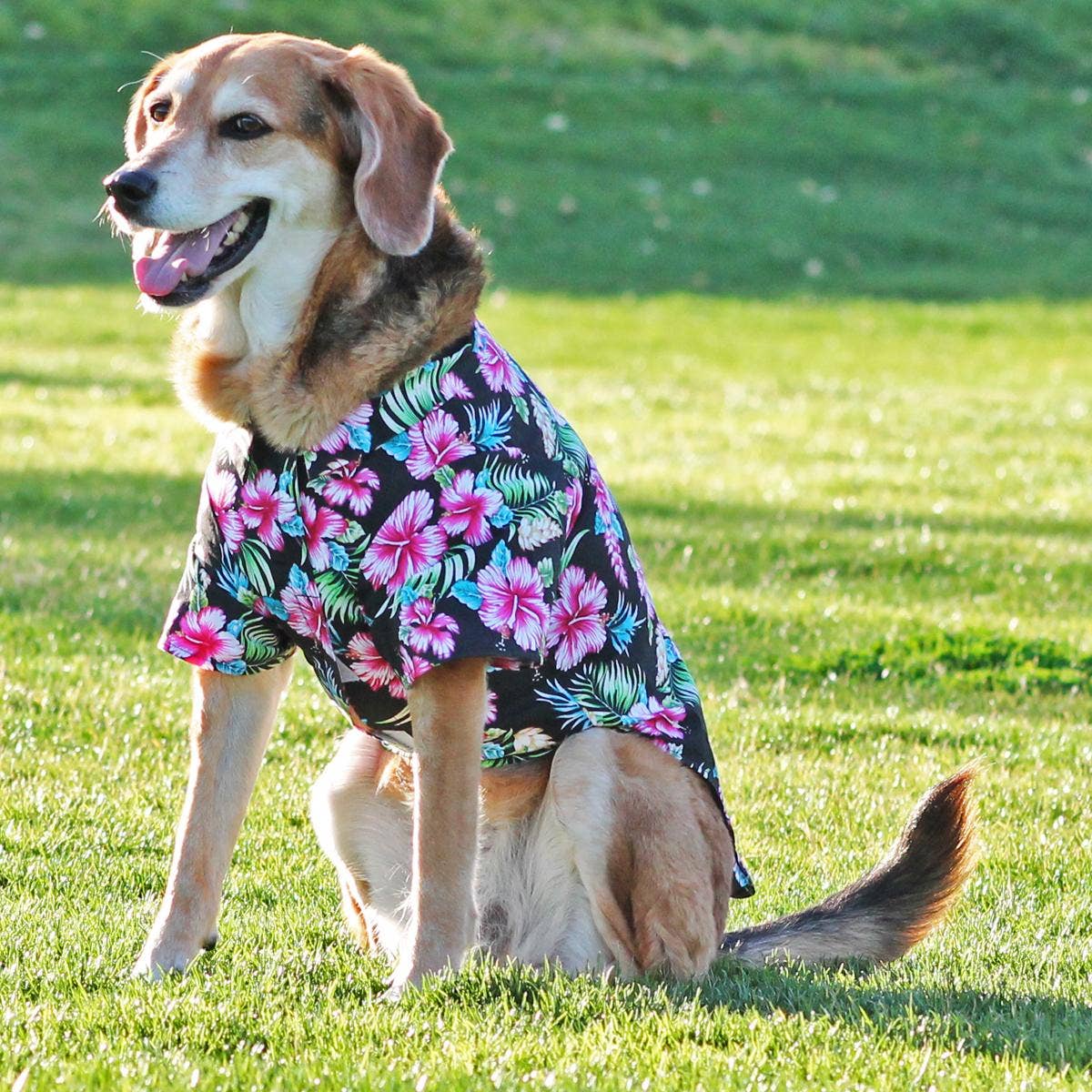 Pet Clothing Hawaiian Camp Shirt Paradise Nights