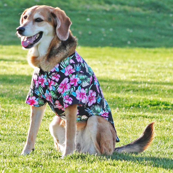 Pet Clothing Hawaiian Camp Shirt Paradise Nights