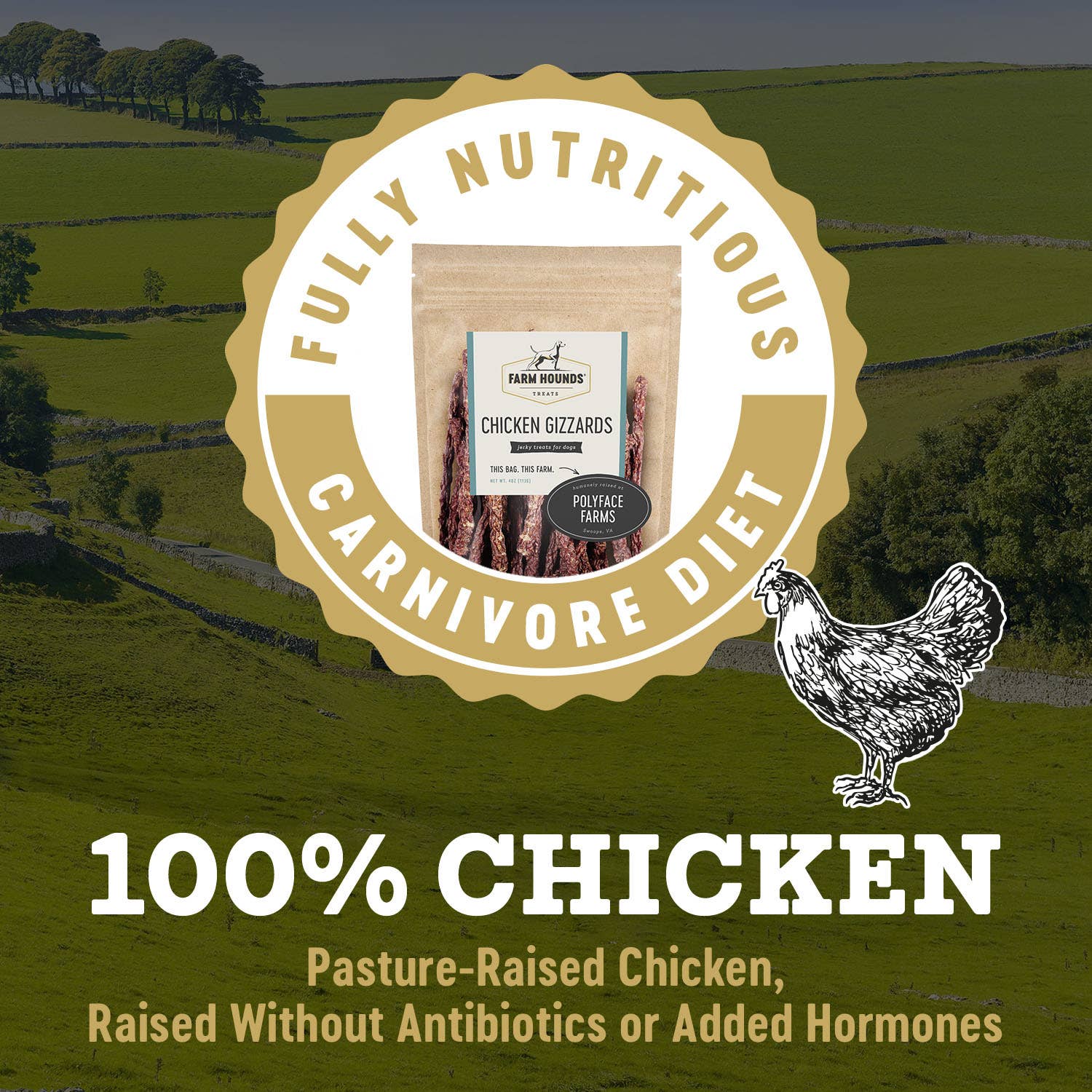 Chicken Gizzard - All-Natural Dog Treats - 4oz