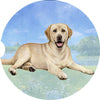 Labrador Yellow Car Coaster