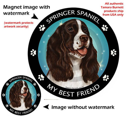 Springer Spaniel Liver  White My Best Friend Circular Magnet