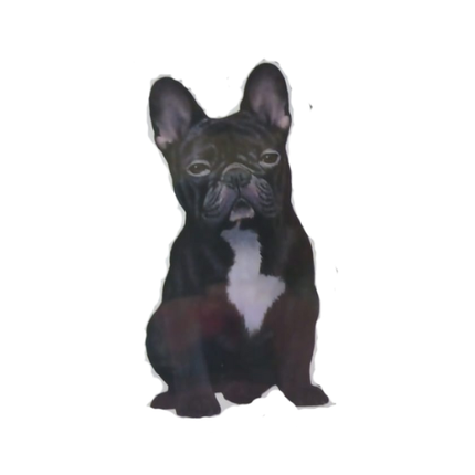 French Bulldog, Black  - Vinyl Stickers