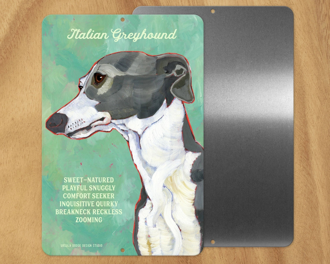 Greyhound (Grey & White) -UD Metal Sign