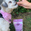 Beef Liver Dehydrated Pet Treats: High-Protein & Vitamin