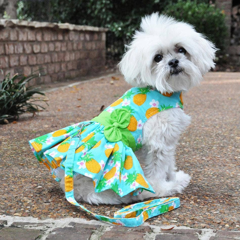 Pineapple Luau Dog Harness Dress w/ Matching Leash