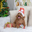 Dog Toy Penguin Ball Happy Woofmas Christmas Toy