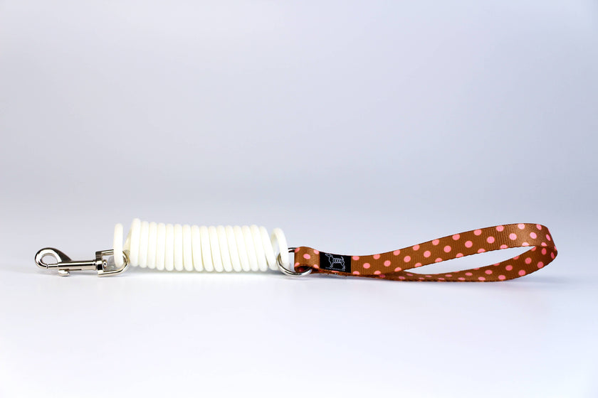 Unique Coil Pet Leash