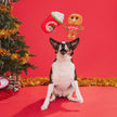 BARK Ginger Brew Crew Dog Toy