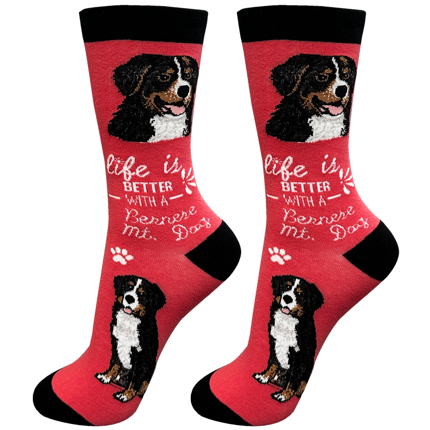 Bernese Mt. Dog Socks Unisex