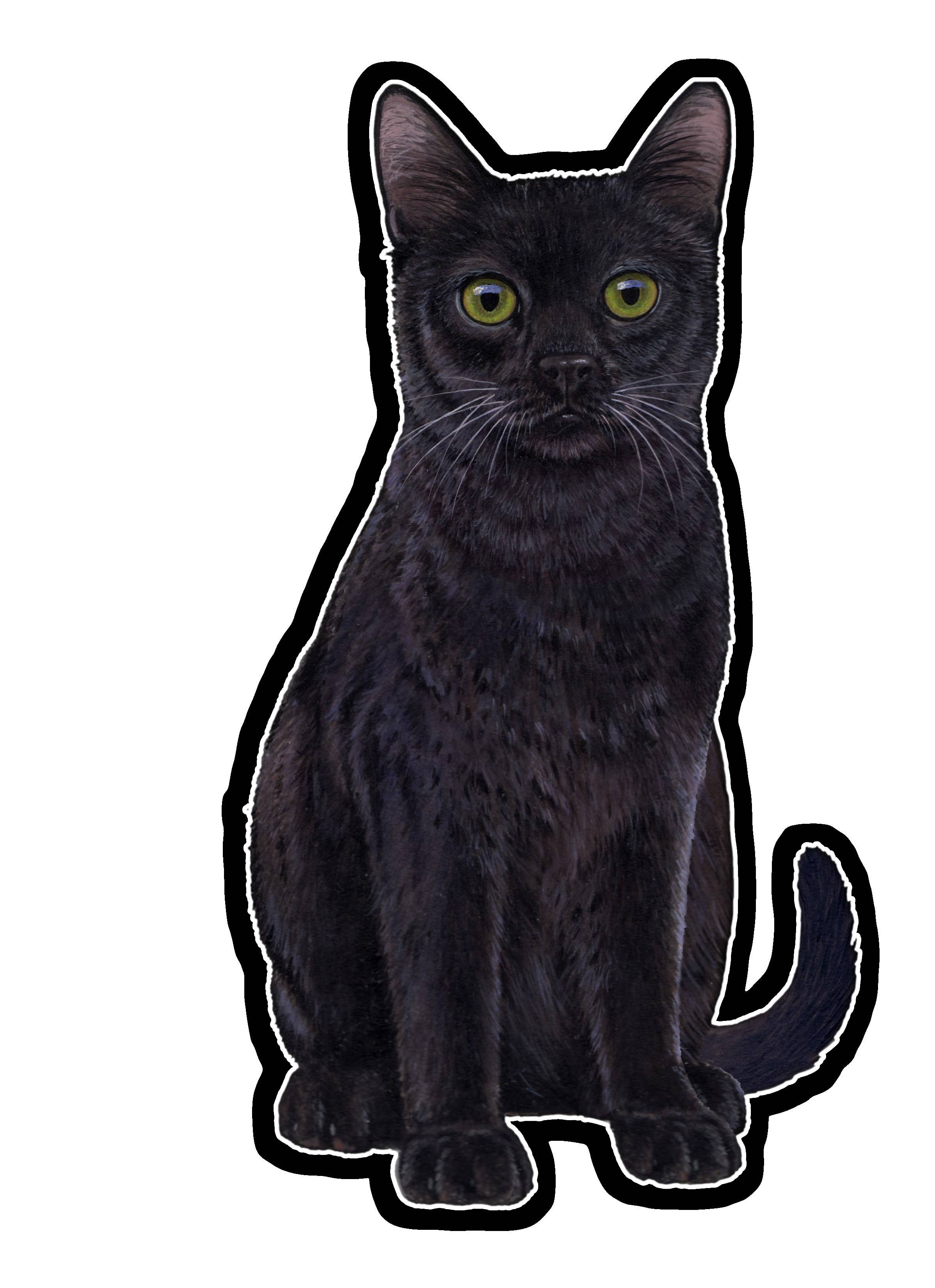 Black Cat  - Vinyl Sticker