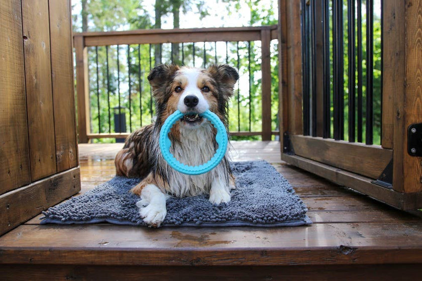 Totally Pooched Chew n' Tug Ring, Foam Rubber Dog Toy