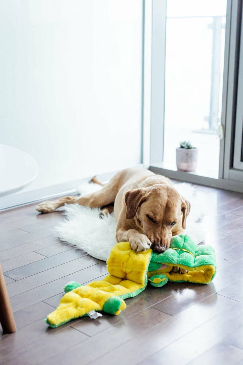 Outward Hound Squeaker Matz Gator Green XXL